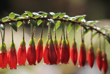 肇庆高要区6私人快速借钱网，轻松解决资金难题