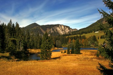 肇庆高要区6民间私贷攻略：揭秘低成本借贷的秘密