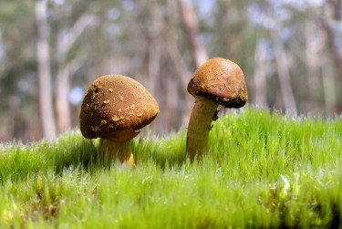 肇庆高要区6私人老板放款：轻松融资的秘密通道